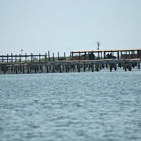 Delta Paradise Holiday home